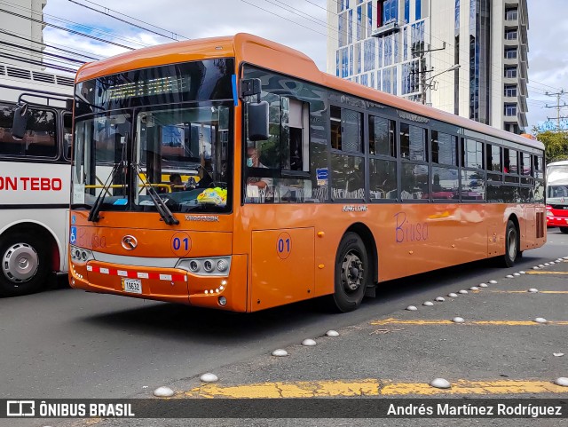 BIUSA 01 na cidade de Mata Redonda, San José, San José, Costa Rica, por Andrés Martínez Rodríguez. Número da foto: #12716207.