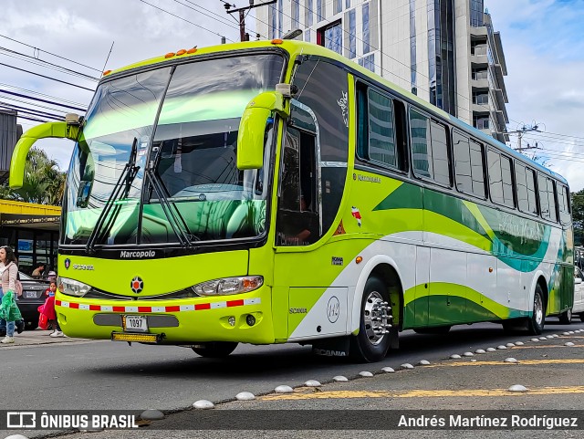 Transportes Campos 142 na cidade de Mata Redonda, San José, San José, Costa Rica, por Andrés Martínez Rodríguez. Número da foto: #12716255.