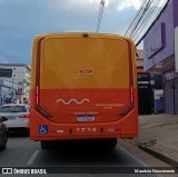Transrosa 1714 na cidade de Lagoa Santa, Minas Gerais, Brasil, por Maurício Nascimento. Número da foto: #12717123.