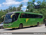 Pássaro Verde 1049 na cidade de Ponte Nova, Minas Gerais, Brasil, por Samuel Tomás de Souza. Número da foto: #12714774.