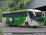 Pássaro Verde 11096 na cidade de Ponte Nova, Minas Gerais, Brasil, por Samuel Tomás de Souza. Número da foto: #12714794.