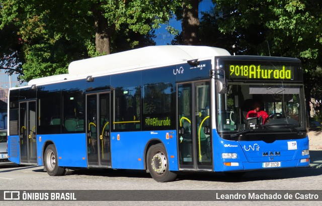 Auto Viação Feirense 596 na cidade de Porto, Porto, Portugal, por Leandro Machado de Castro. Número da foto: #12782498.