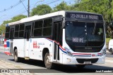 TTL S.A. - Transporte y Turismo Lambaré - Líneas 23-24-31 y 33 1616 na cidade de Asunción, Paraguai, por José Paredes. Número da foto: #12781146.
