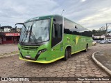 Pássaro Verde 20178 na cidade de Santa Bárbara, Minas Gerais, Brasil, por Tiago Wenceslau de Souza. Número da foto: #12783393.