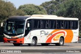 Viação Platina 2900 na cidade de Uberlândia, Minas Gerais, Brasil, por Matheus Souza. Número da foto: #12783363.