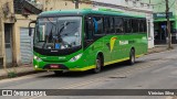 Pássaro Verde 15122 na cidade de Ponte Nova, Minas Gerais, Brasil, por Vinicius Silva. Número da foto: #12781964.