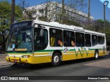 VAP - Viação Alto Petrópolis 4452 na cidade de Porto Alegre, Rio Grande do Sul, Brasil, por Emerson Dorneles. Número da foto: #:id.