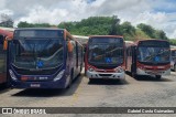 Expresso Luziense > Territorial Com. Part. e Empreendimentos 30284 na cidade de Santa Luzia, Minas Gerais, Brasil, por Gabriel Costa Guimarães. Número da foto: #12782206.