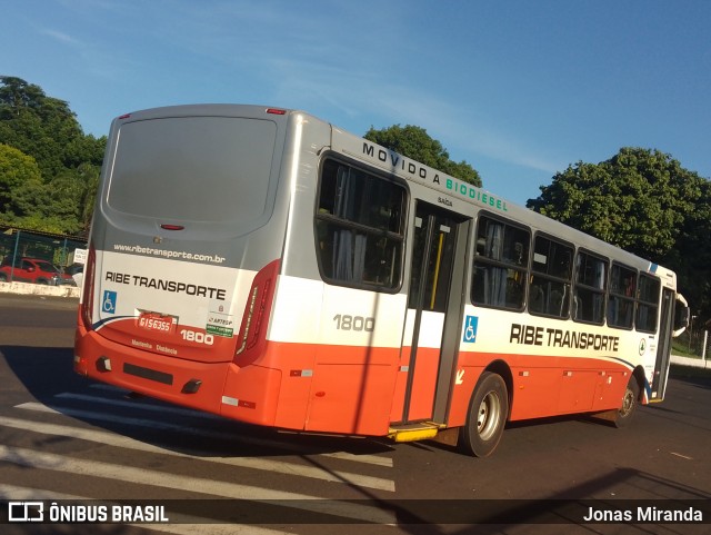 Ribe Transporte 1800 na cidade de Ribeirão Preto, São Paulo, Brasil, por Jonas Miranda. Número da foto: #12805192.
