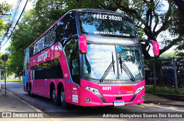 Eucatur - Empresa União Cascavel de Transportes e Turismo 6031 na cidade de São Paulo, São Paulo, Brasil, por Adriano Gonçalves Soares Dos Santos. Número da foto: #12806062.