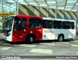 Auto Viação Transcap >> Auto Bless Transportes 8 5250 na cidade de São Paulo, São Paulo, Brasil, por Renan De Jesus Oliveira. Número da foto: #12805638.