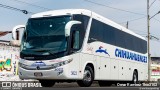 Transportes Chihuahuenses 3022 na cidade de Celaya, Guanajuato, México, por Omar Ramírez Thor2102. Número da foto: #12805648.