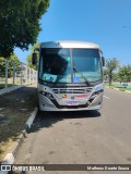 Transportes Capellini 34015 na cidade de Hortolândia, São Paulo, Brasil, por Matheus Duarte Souza. Número da foto: #12804658.