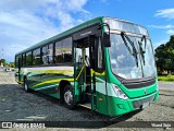 Autobuses sin identificación - El Salvador  na cidade de Limón, Limón, Limón, Costa Rica, por Yliand Sojo. Número da foto: #:id.