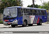 Vipol Transportes Rodoviários - TIPBUS - Transportes Intermunicipal 36.166 na cidade de São Paulo, São Paulo, Brasil, por Hipólito Rodrigues. Número da foto: #12806207.