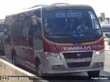 Transportadora Tinguá RJ 156.160 na cidade de Belford Roxo, Rio de Janeiro, Brasil, por Pedro Honório. Número da foto: #12805851.