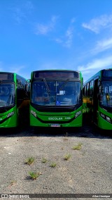 Transportes Capellini 32896 na cidade de Paulínia, São Paulo, Brasil, por Allan Henrique. Número da foto: #:id.