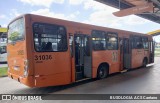 Viação Nobel 31036 na cidade de Fazenda Rio Grande, Paraná, Brasil, por BUSOLOGIA ACS Caetano. Número da foto: #:id.