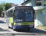 Empresa de Ônibus Vila Galvão 8067 na cidade de Guarulhos, São Paulo, Brasil, por Peterson Fernandes . Número da foto: #:id.