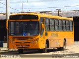 Viação Sandra 10532 na cidade de Pirapora, Minas Gerais, Brasil, por Andrew Campos. Número da foto: #12809599.