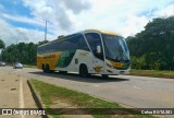 Empresa Gontijo de Transportes 19880 na cidade de Ipatinga, Minas Gerais, Brasil, por Celso ROTA381. Número da foto: #12810579.