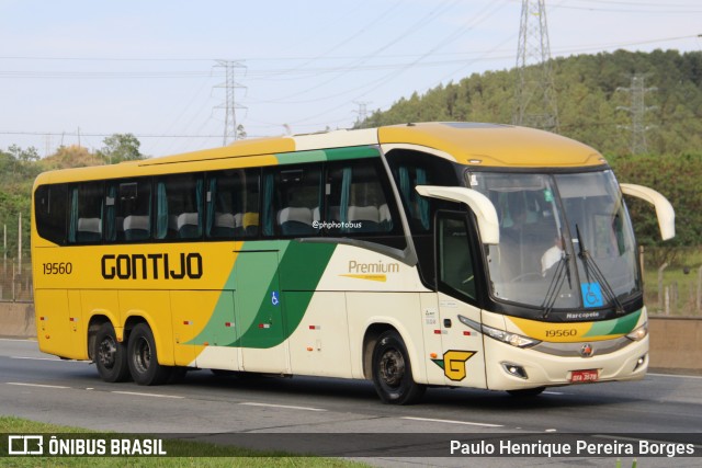 Empresa Gontijo de Transportes 19560 na cidade de Aparecida, São Paulo, Brasil, por Paulo Henrique Pereira Borges. Número da foto: #12813729.