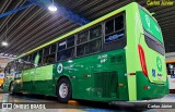 HP Transportes Coletivos 20.800 na cidade de Goiânia, Goiás, Brasil, por Carlos Júnior. Número da foto: #12813117.