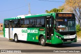 Viação Galo Branco RJ 181.087 na cidade de Niterói, Rio de Janeiro, Brasil, por Paulo Henrique Pereira Borges. Número da foto: #12813851.