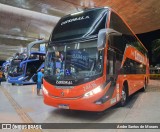 Catedral Turismo 24616 na cidade de Uberlândia, Minas Gerais, Brasil, por Andre Santos de Moraes. Número da foto: #12814231.