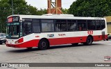 Tarsa 4866 na cidade de Ciudad Autónoma de Buenos Aires, Argentina, por Claudio Luiz. Número da foto: #12814878.