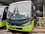 Turin Transportes 2411 na cidade de Ouro Branco, Minas Gerais, Brasil, por Eduardo Vieira. Número da foto: #12814086.