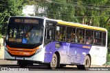 Expresso Luziense > Territorial Com. Part. e Empreendimentos 30803 na cidade de Santa Luzia, Minas Gerais, Brasil, por Herbert de Souza. Número da foto: #12815481.