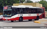 Tarsa 4843 na cidade de Ciudad Autónoma de Buenos Aires, Argentina, por Claudio Luiz. Número da foto: #12814988.