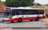 Tarsa 4866 na cidade de Ciudad Autónoma de Buenos Aires, Argentina, por Claudio Luiz. Número da foto: #12814877.