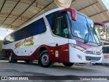 Suelen Turismo 250 na cidade de Parobé, Rio Grande do Sul, Brasil, por Cristiano Schnepfleitner. Número da foto: #12814652.