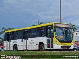 Viação Pioneira 229172 na cidade de Samambaia, Distrito Federal, Brasil, por Marcelo Henrique. Número da foto: #12814372.