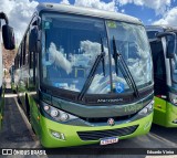 Turin Transportes 2411 na cidade de Conselheiro Lafaiete, Minas Gerais, Brasil, por Eduardo Vieira. Número da foto: #12816221.