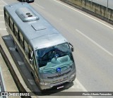 Aranha Locadora 2011 na cidade de Mairinque, São Paulo, Brasil, por Flavio Alberto Fernandes. Número da foto: #:id.