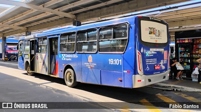 Transportes Capellini 19.101 na cidade de Campinas, São Paulo, Brasil, por Fábio Santos. Número da foto: #12818493.