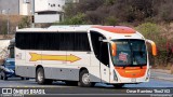 Flecha Amarilla 8221 na cidade de Querétaro, Querétaro, México, por Omar Ramírez Thor2102. Número da foto: #12817474.