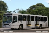 Auto Viação Redentor HL493 na cidade de Curitiba, Paraná, Brasil, por Busologia Gabrielística. Número da foto: #12820071.