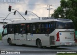 Auto Viação São José dos Pinhais EL310 na cidade de Curitiba, Paraná, Brasil, por Busologia Gabrielística. Número da foto: #12820401.