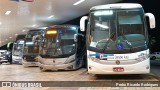 VIDA - Viação Danúbio Azul 10011 na cidade de Limeira, São Paulo, Brasil, por Pedro Ricardo Rodrigues. Número da foto: #12818296.
