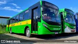 Transportes Capellini 32865 na cidade de Paulínia, São Paulo, Brasil, por Allan Henrique. Número da foto: #12819491.