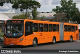 Transporte Coletivo Glória BI607 na cidade de Curitiba, Paraná, Brasil, por Busologia Gabrielística. Número da foto: #12820107.