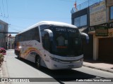 Buses Peñablanca FYBV34 na cidade de Santa Cruz, Colchagua, Libertador General Bernardo O'Higgins, Chile, por Pablo Andres Yavar Espinoza. Número da foto: #12818151.