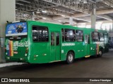 Borborema Imperial Transportes 287 na cidade de Recife, Pernambuco, Brasil, por Gustavo Henrique. Número da foto: #12818076.