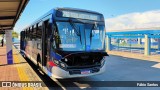 Transportes Capellini 19.168 na cidade de Hortolândia, São Paulo, Brasil, por Fábio Santos. Número da foto: #12818578.