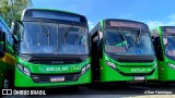 Transportes Capellini 32542 na cidade de Paulínia, São Paulo, Brasil, por Allan Henrique. Número da foto: #12819487.