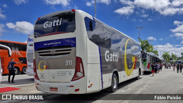 Gatti 311 na cidade de Barueri, São Paulo, Brasil, por Fábio Paixão. Número da foto: #12821037.